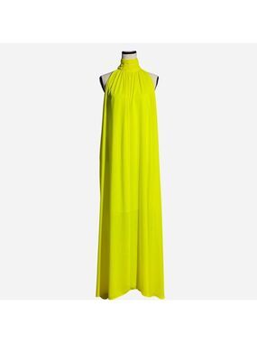 New York & Company Maxi Dress